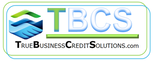 True Business Credit Solutions